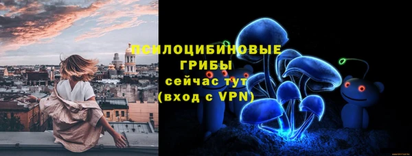 СК Липки