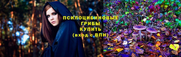 прущий лед Магас