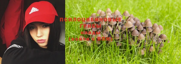 mdpv Магадан