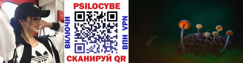 купить   Челябинск  Галлюциногенные грибы GOLDEN TEACHER 