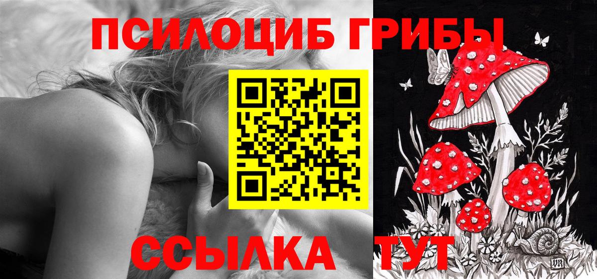 Галлюциногенные грибы Magic Shrooms  наркота  Челябинск 